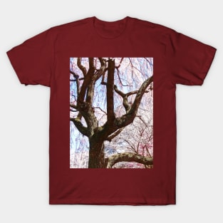 Spring - Cherry Tree Closeup T-Shirt